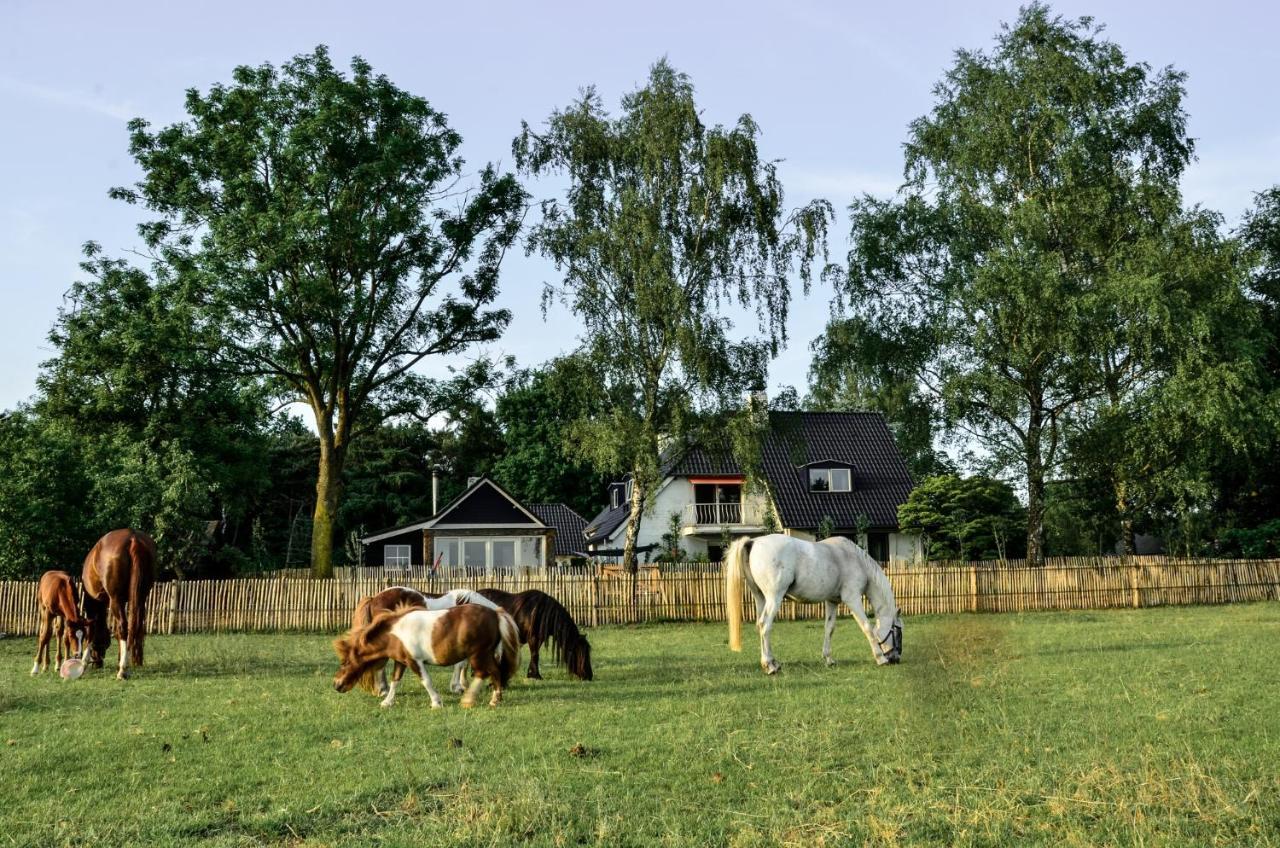 Bed&Breakfast de Zandhoef Eersel Exterior foto