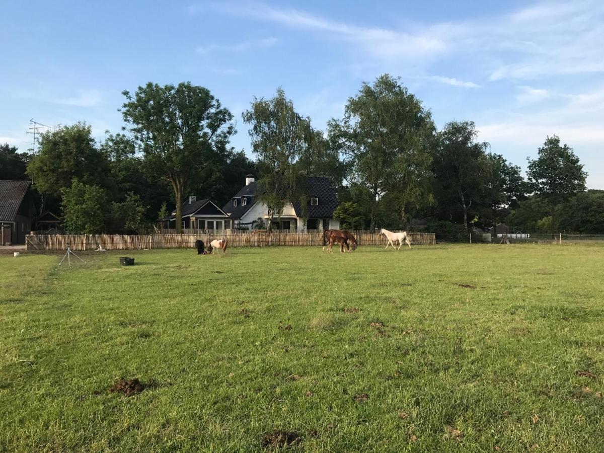 Bed&Breakfast de Zandhoef Eersel Exterior foto